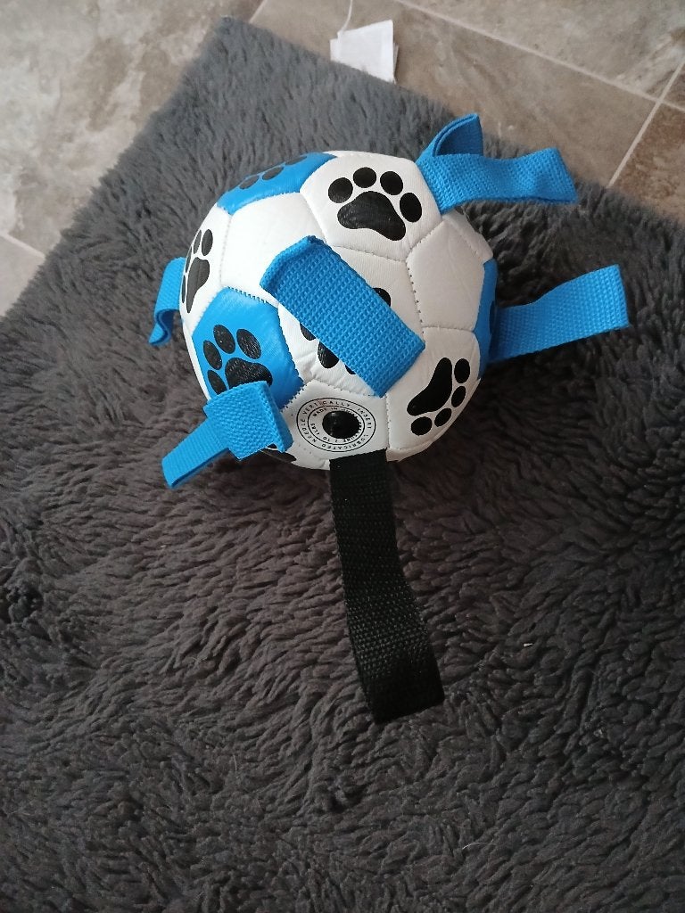 Bal voor hond NIEUW, Animaux & Accessoires, Jouets pour chiens, Enlèvement, Neuf, Balles pour chien