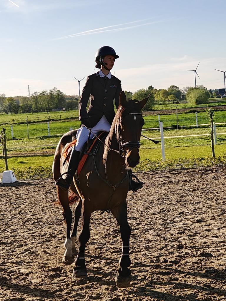 Dringend halve stal gezocht voor mijn 6-jarige merrie, Dieren en Toebehoren, Ophalen, Nieuw