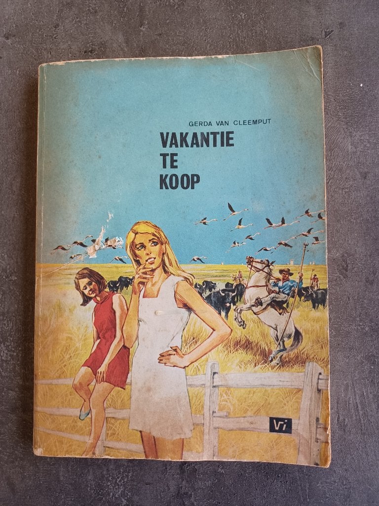 Boek vakantie te koop, Gelezen, Gerda van Cleemput, Ophalen of Verzenden, Fictie