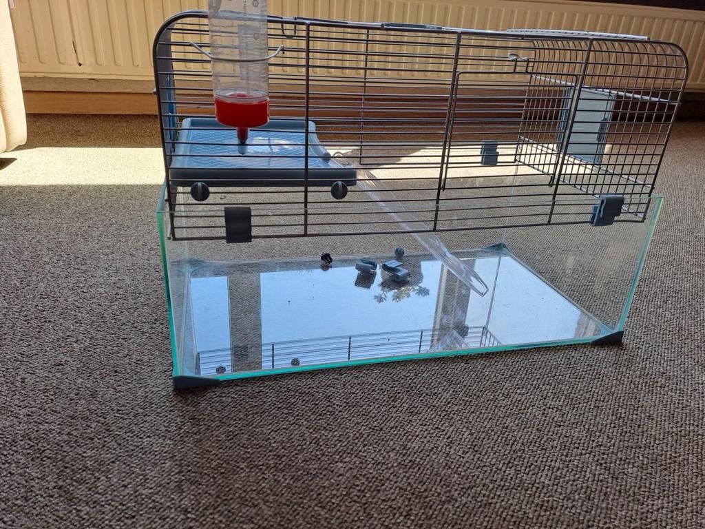Hamsterkooi, Enlèvement
