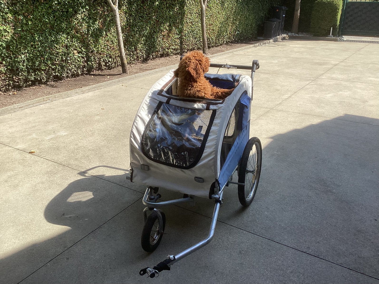 Hondenkar, Fietsen en Brommers, Fietsaccessoires | Aanhangwagens en Karren, Ophalen, Gebruikt, Hondenkar