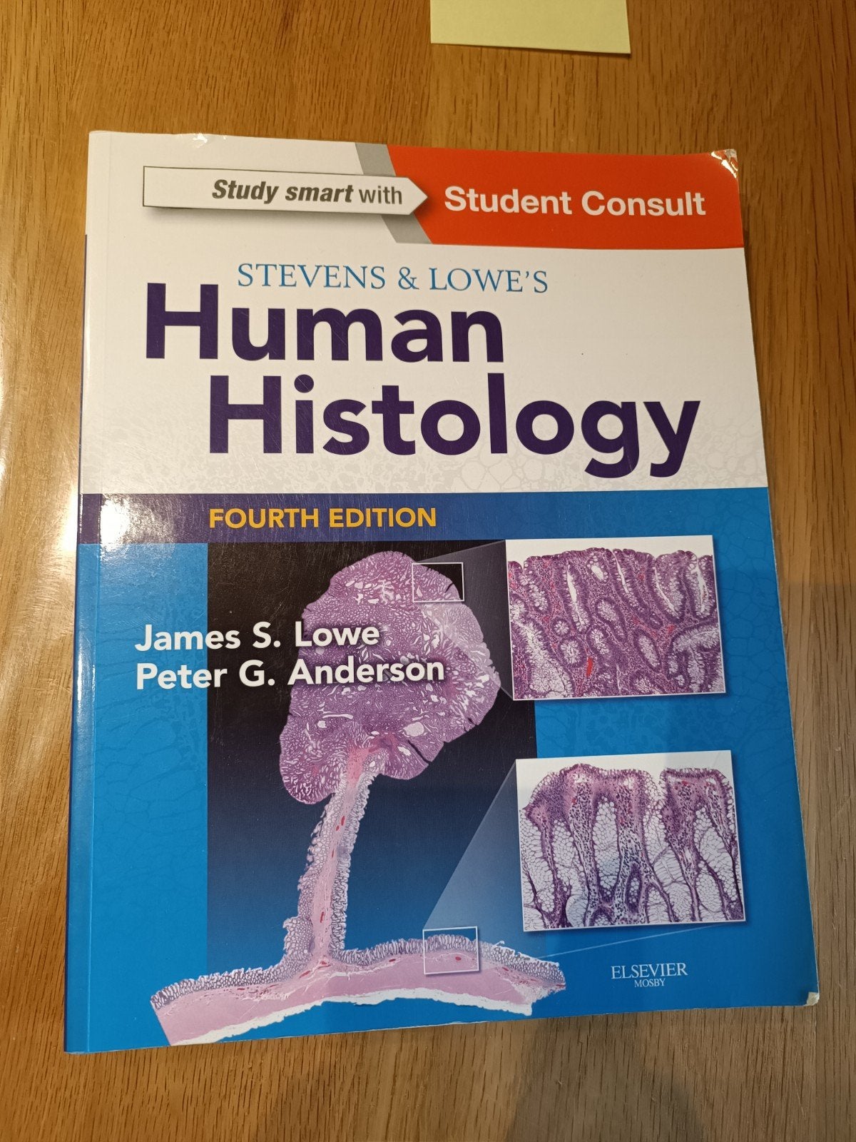 Stevens&Lowe - Human Histology - 4th edition, Ophalen, Gelezen, Hoger Onderwijs, James S. Lowe