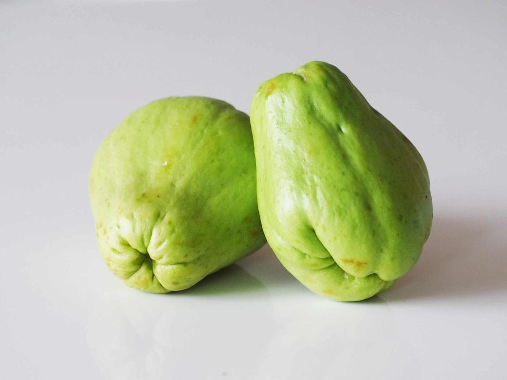 Chayote - 100% Biologisch - eigen teelt, Ophalen