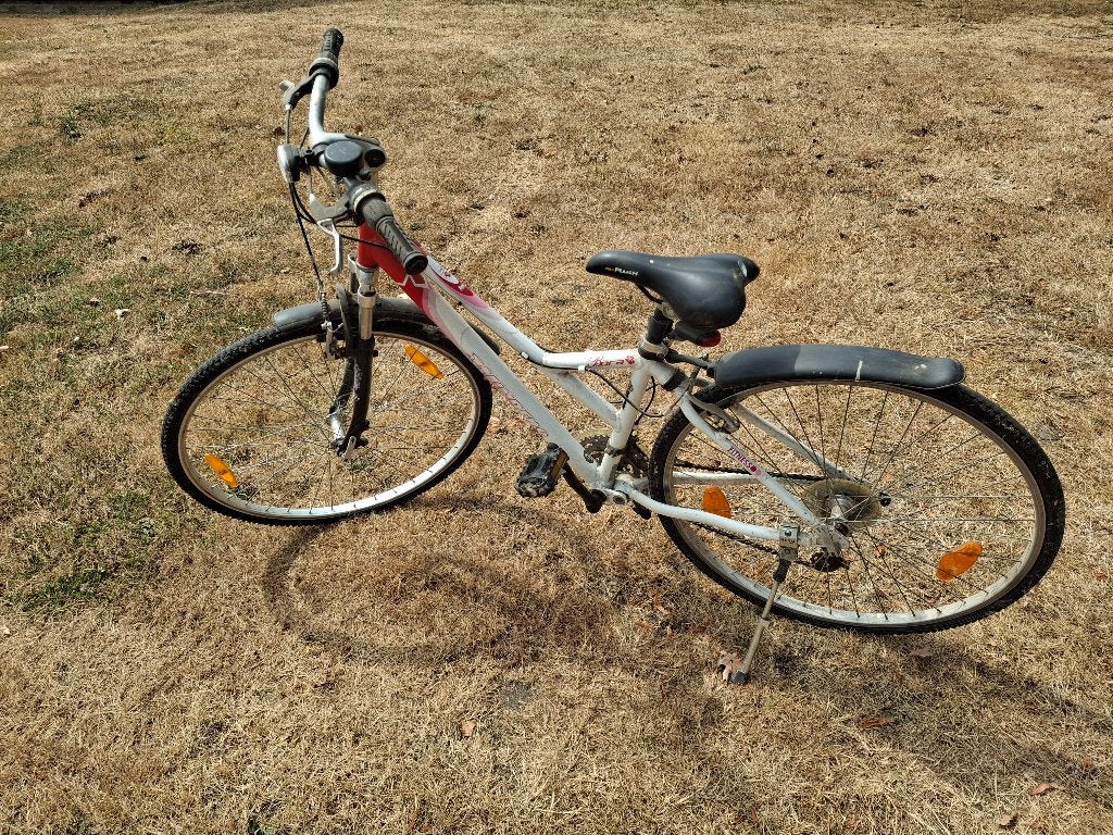 meisjesfiets 25 inch, Velgrem, Versnellingen, Ophalen, Overige merken