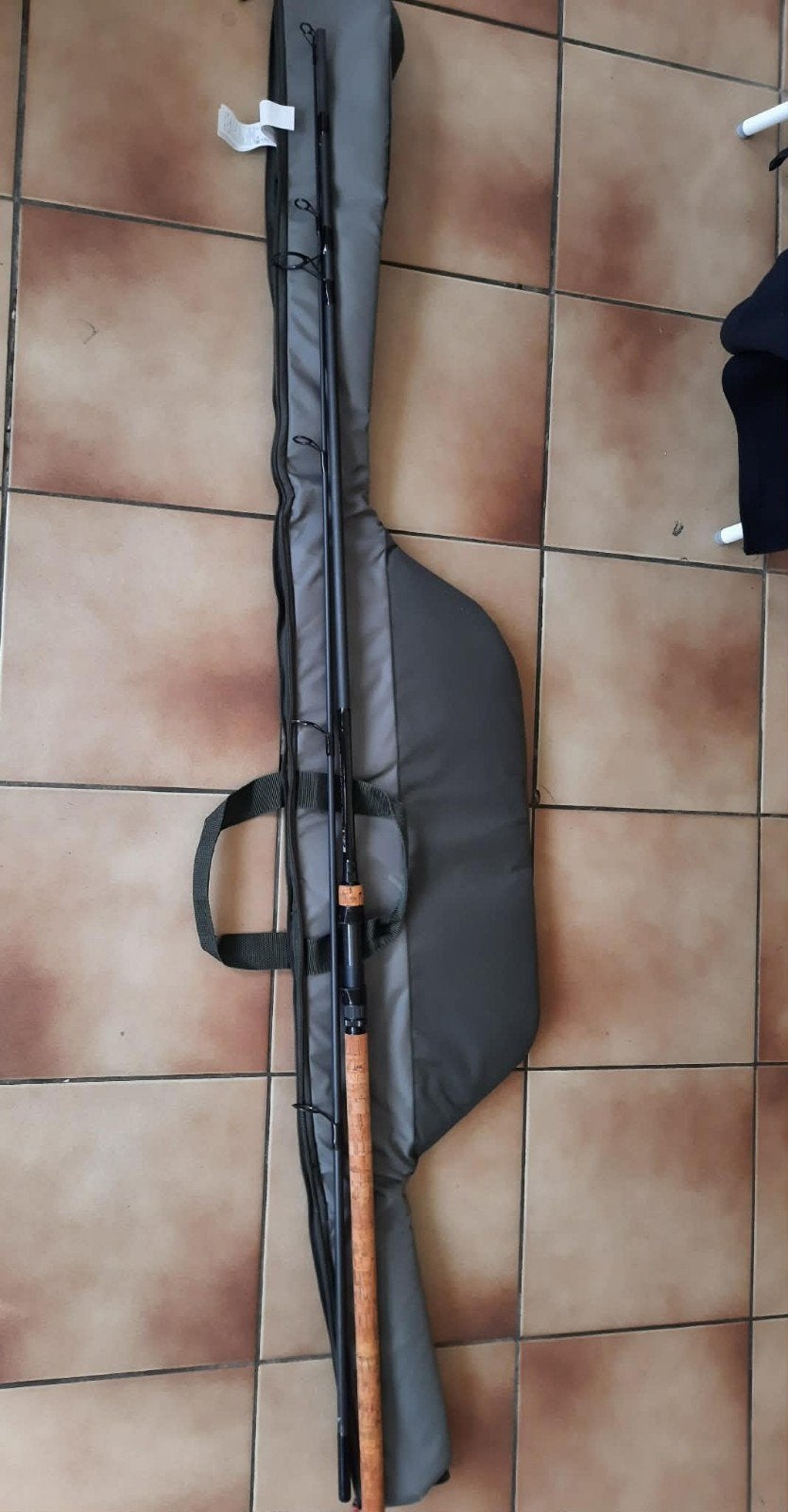 Canne carpe Daiwa Regal 10' 3,5 Lb + fourreau Caperlan, Enlèvement, Comme neuf, Canne à lancer
