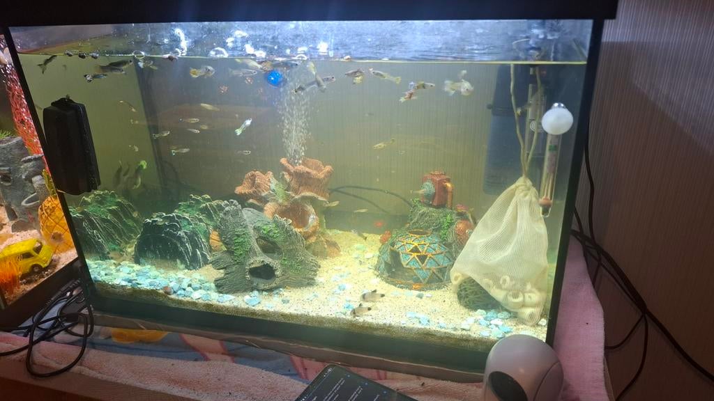 Aquarium en decoratie luchtfilter waterfilter warm waterpomp, Dieren en Toebehoren, Ophalen of Verzenden, Decoratie