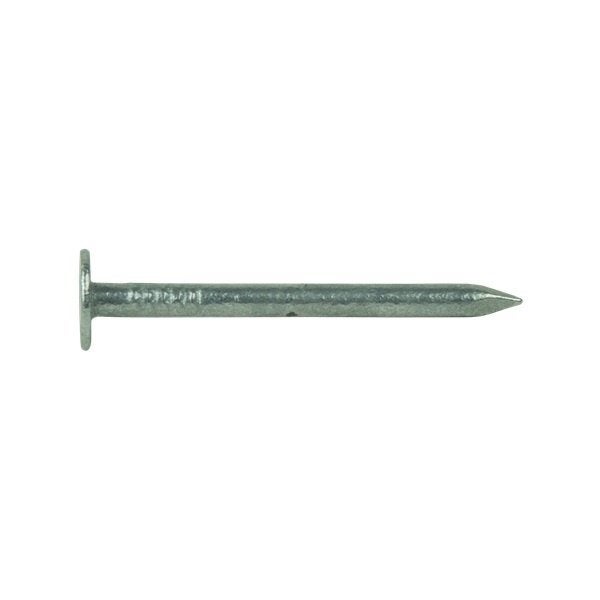 Clous en schiste 3,5 x 45 mm galvanisés, Enlèvement, Neuf