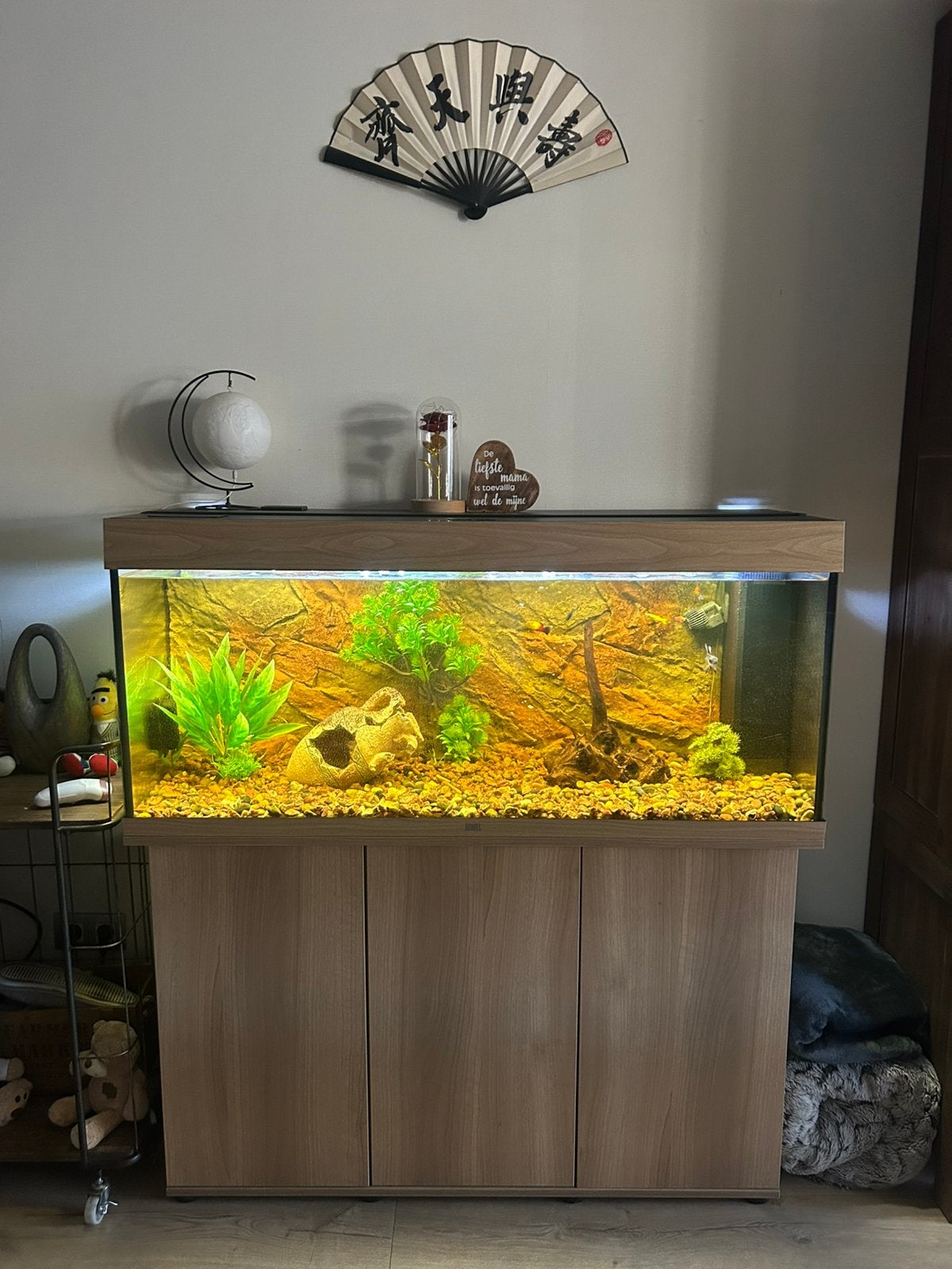 Aquarium met kast, vissen en bijhorigheden, Dieren en Toebehoren, Vissen | Aquaria en Toebehoren, Ophalen, Zo goed als nieuw