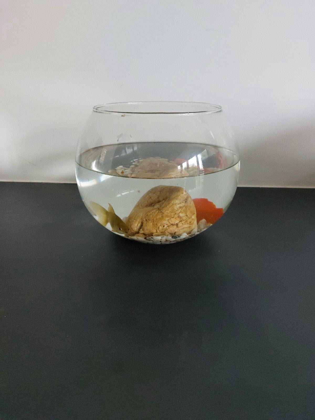 aquarium, 20 cm, Ophalen of Verzenden, Zo goed als nieuw, Inclusief decoratie