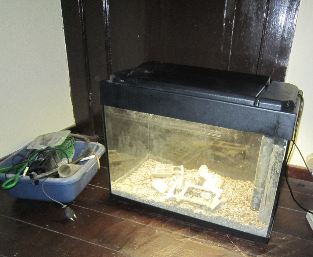 Aquarium avec accessoires, Animaux & Accessoires, Enlèvement