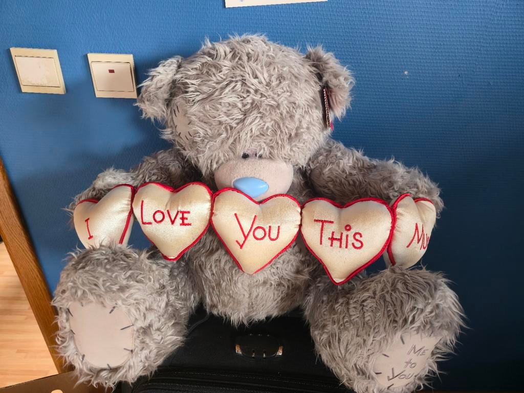 Teddybeer met tag, Verzamelen, Ophalen of Verzenden