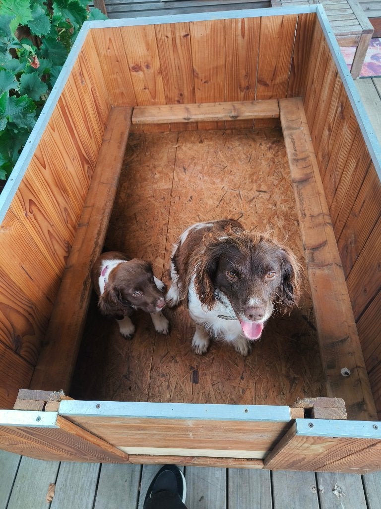 Honden werpkist, Enlèvement, Utilisé, Autre