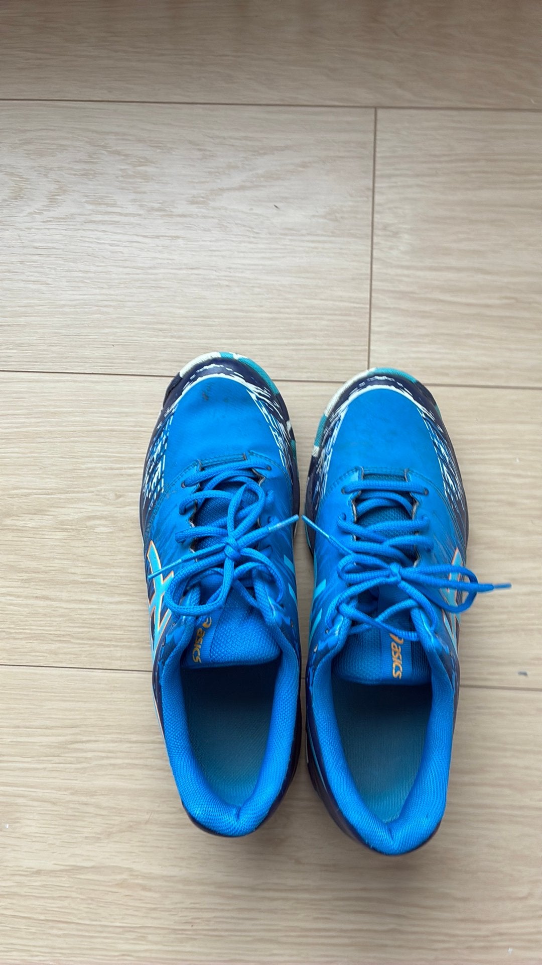 Asics Hockey schoen / 42, Ophalen, Gebruikt, Schoenen