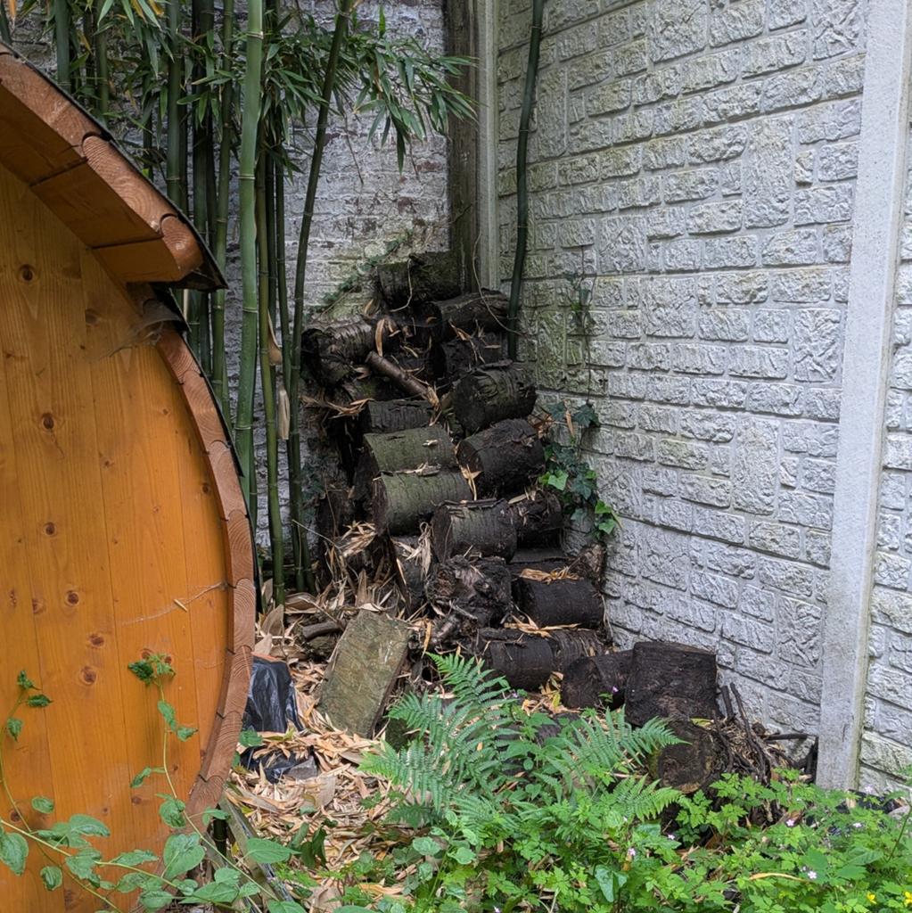Houten boomstammen, Minder dan 3 m³, Ophalen, Overige houtsoorten, Stammen