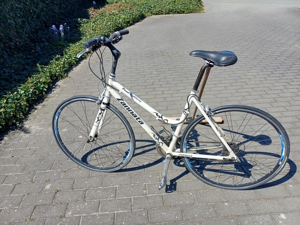 Te koop damesfiets., Fietsen en Brommers, Ophalen