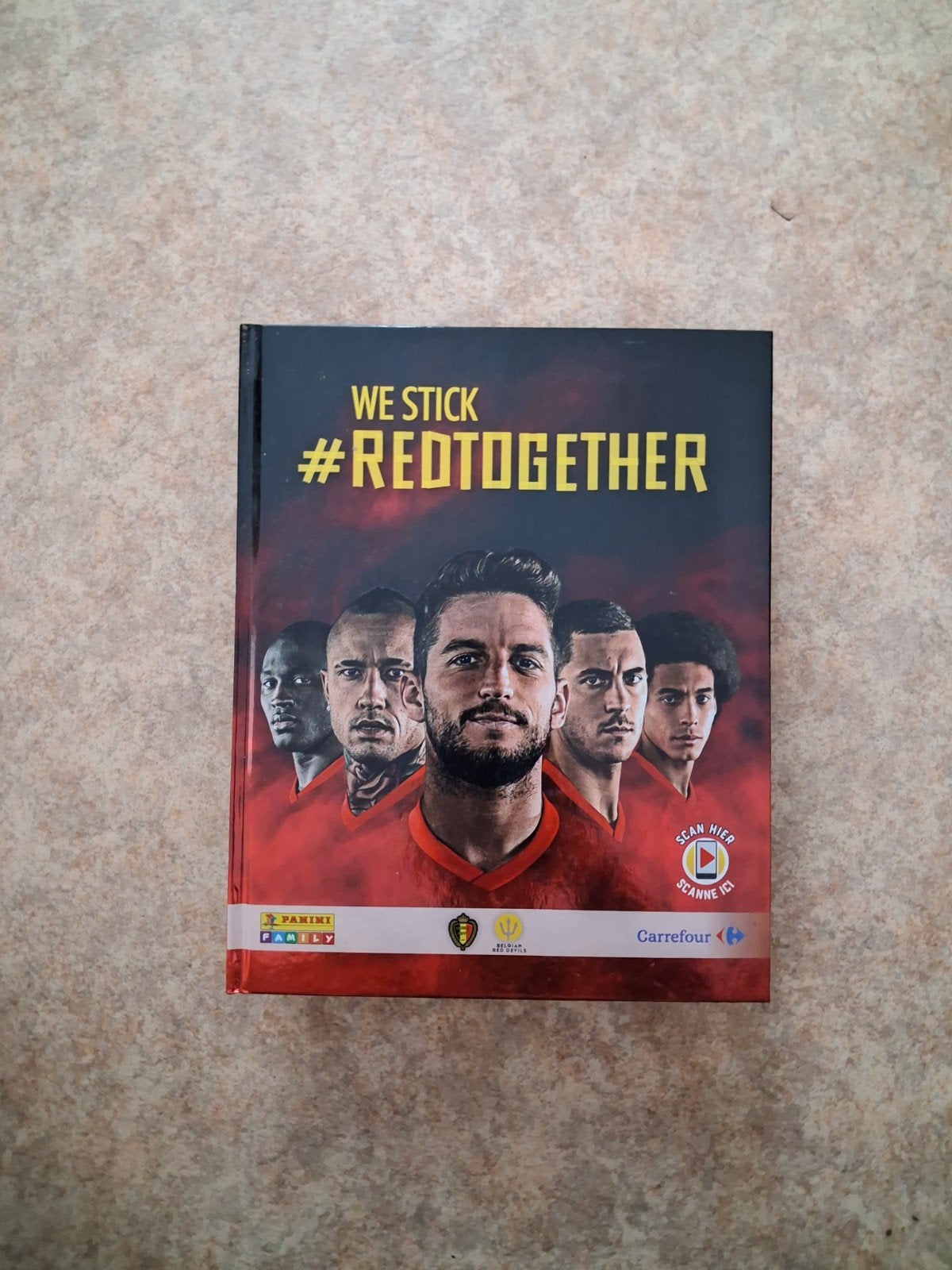 Album panini football