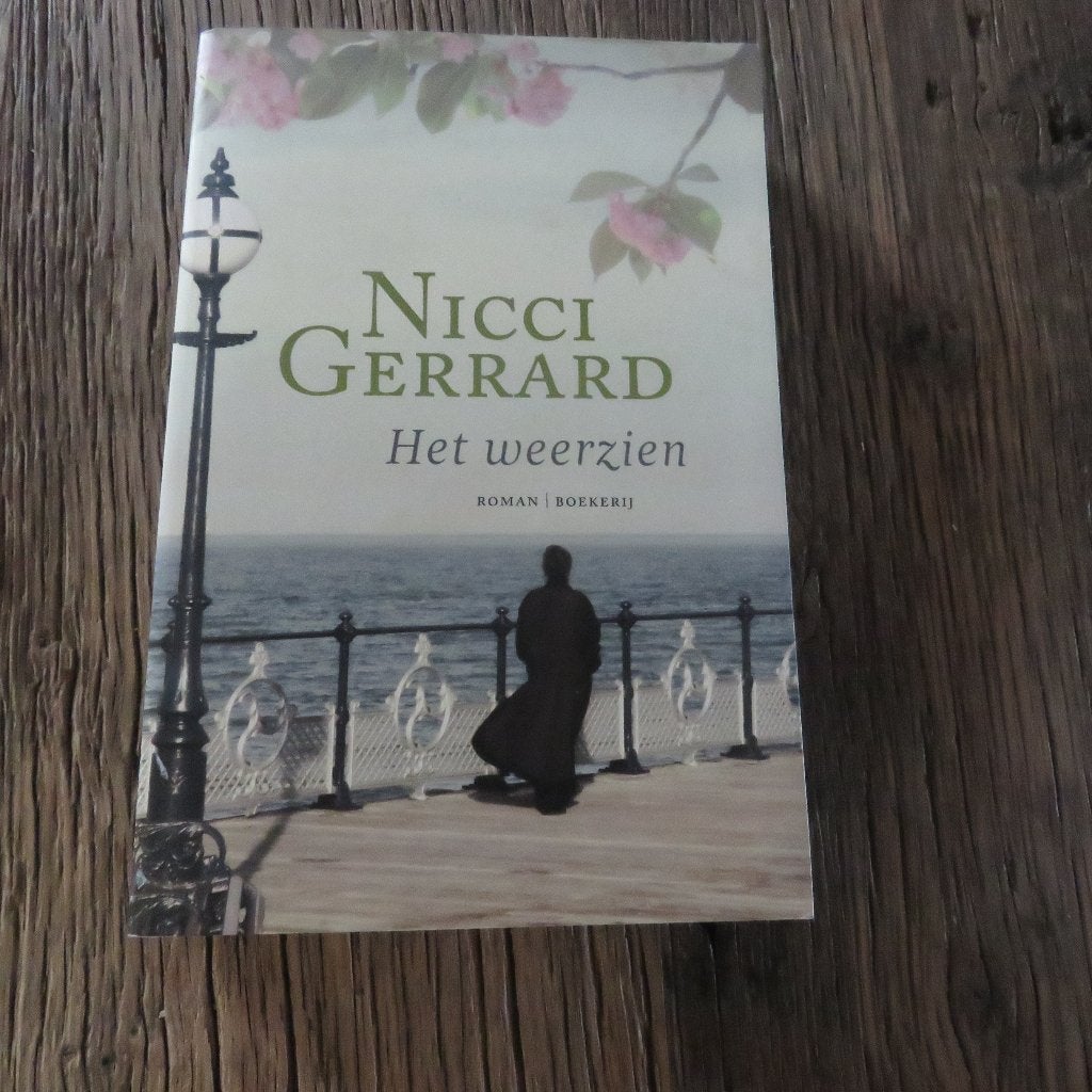 Nicci Gerrard Het weerzien, Boeken, Ophalen of Verzenden