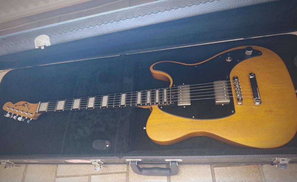 Charvel joe duplantier ( Gojira ), Musique & Instruments, Instruments à corde | Guitares | Électriques, Enlèvement, Gibson