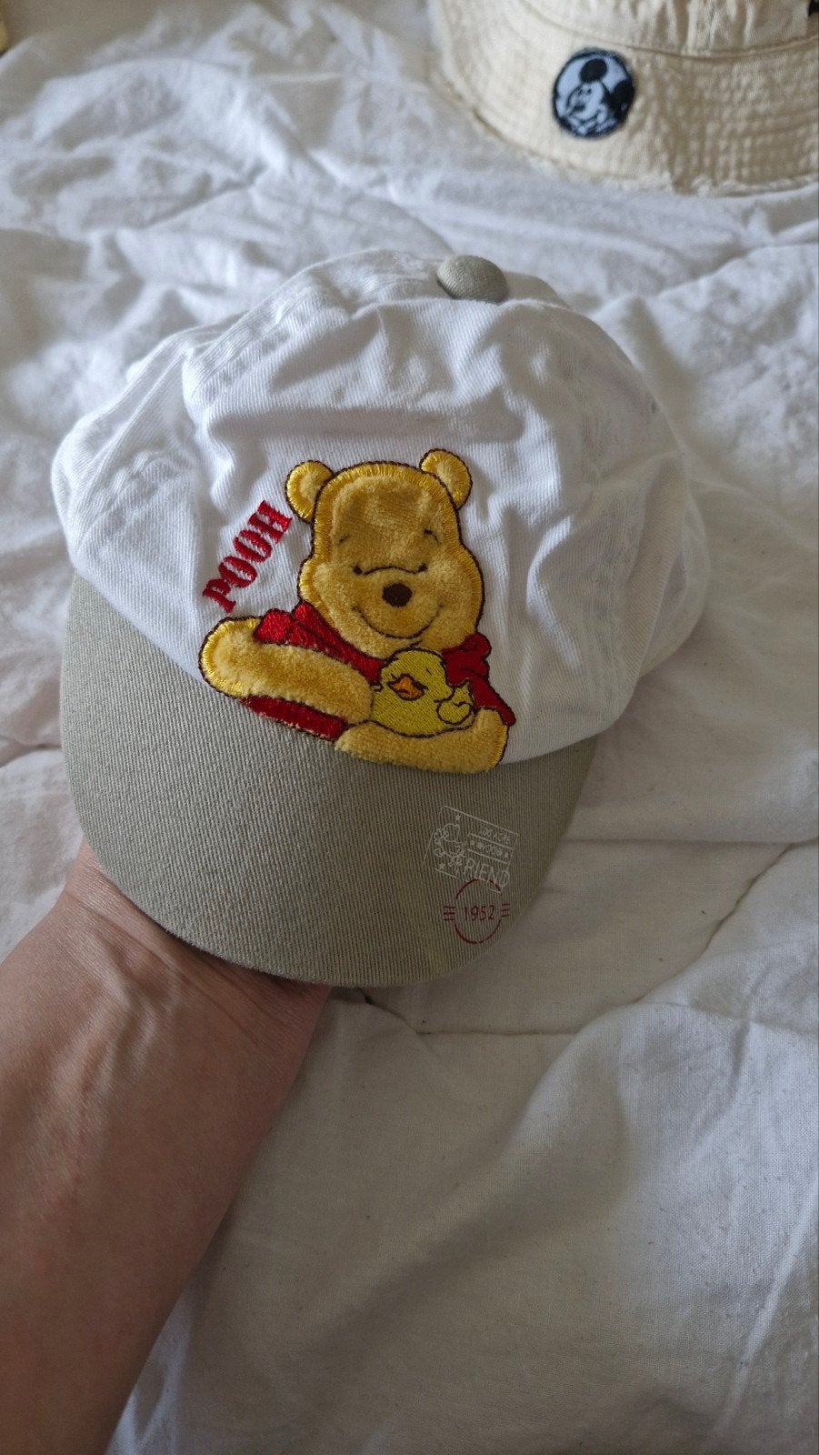 Disney bob petten, Ophalen, Pet