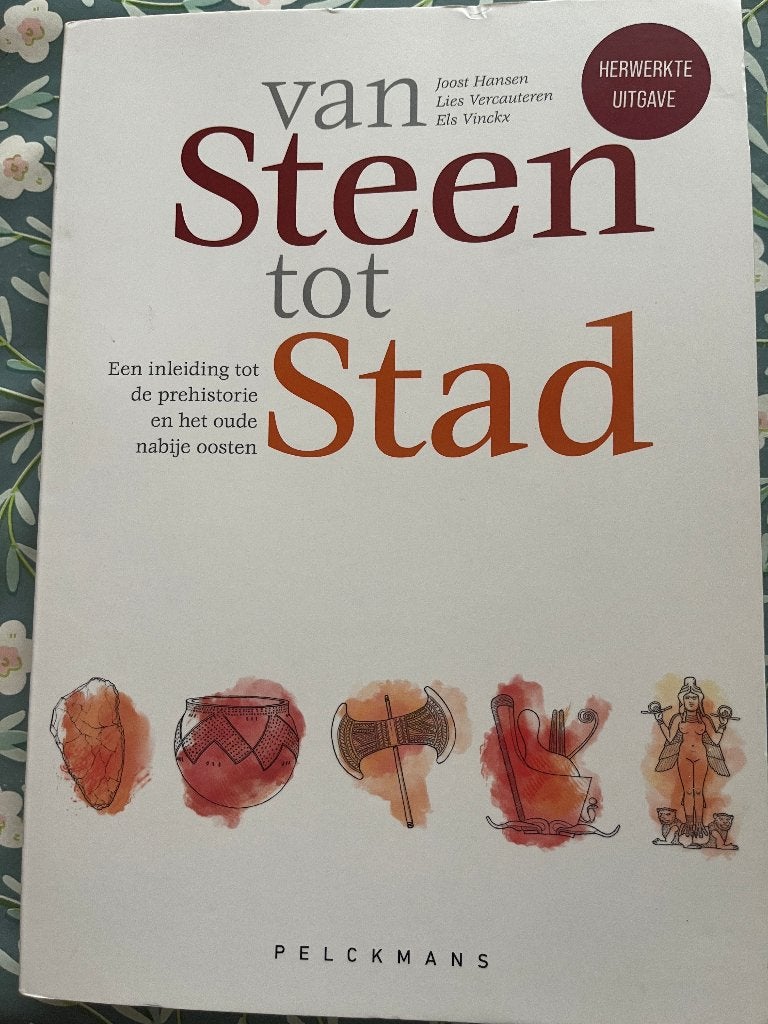 Van Steen tot Stad, Boeken, Ophalen, Geschiedenis, Zo goed als nieuw, Pelckmans