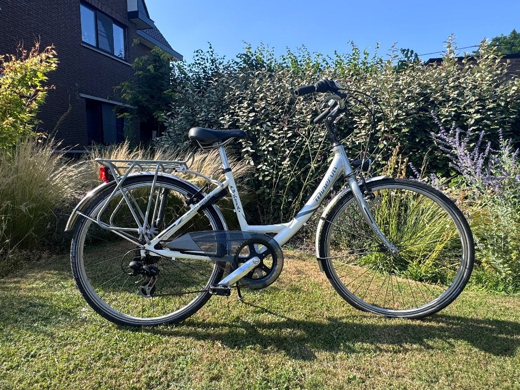 Minerva Dames Fiets, Gebruikt, Velgrem, Versnellingen, Ophalen