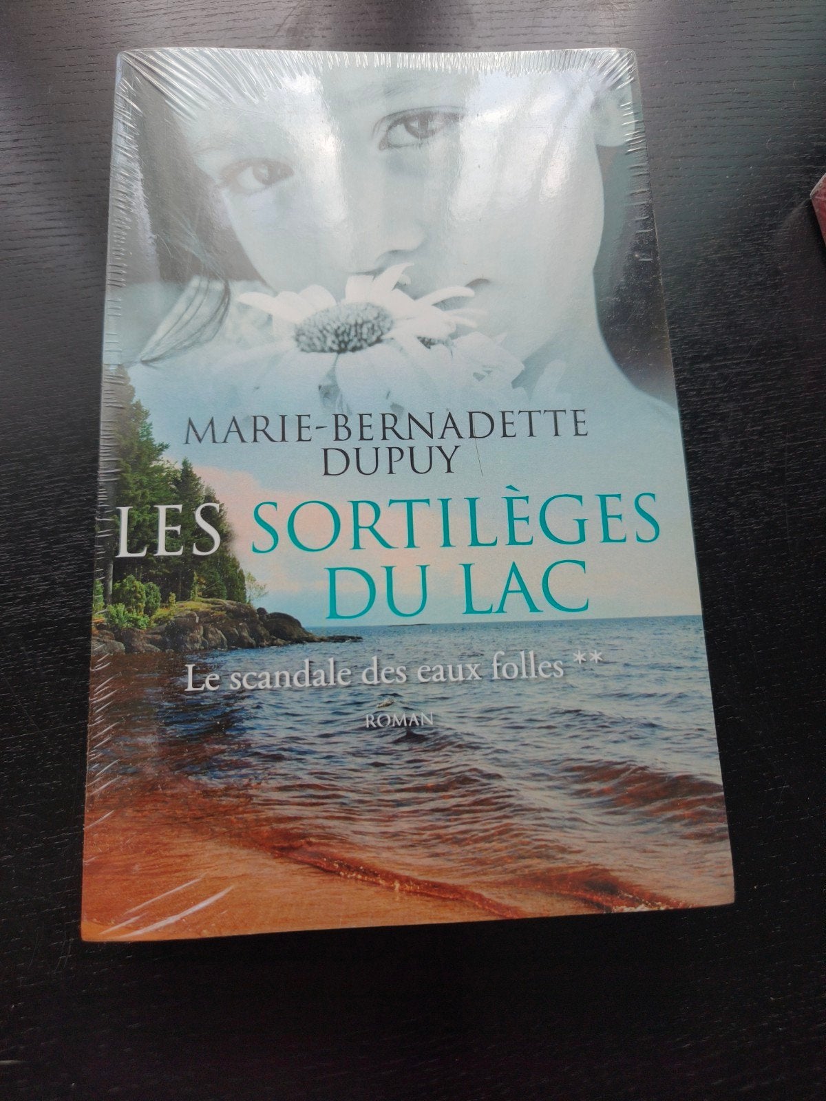 Les Sortilèges du lac de Marie-Bernadette Dupuy, partie 2, Enlèvement ou Envoi