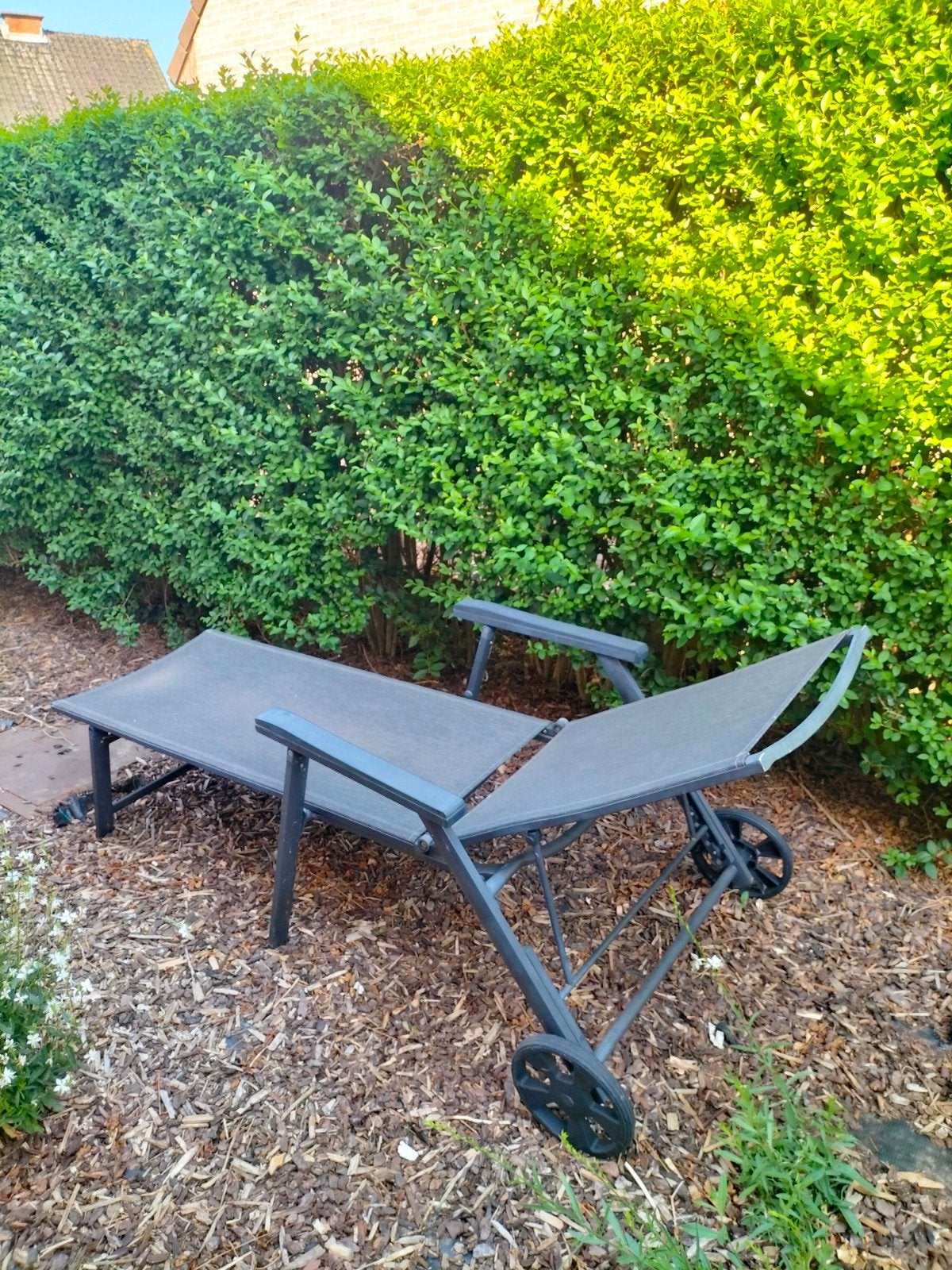 Chaise longue à roulettes, Enlèvement