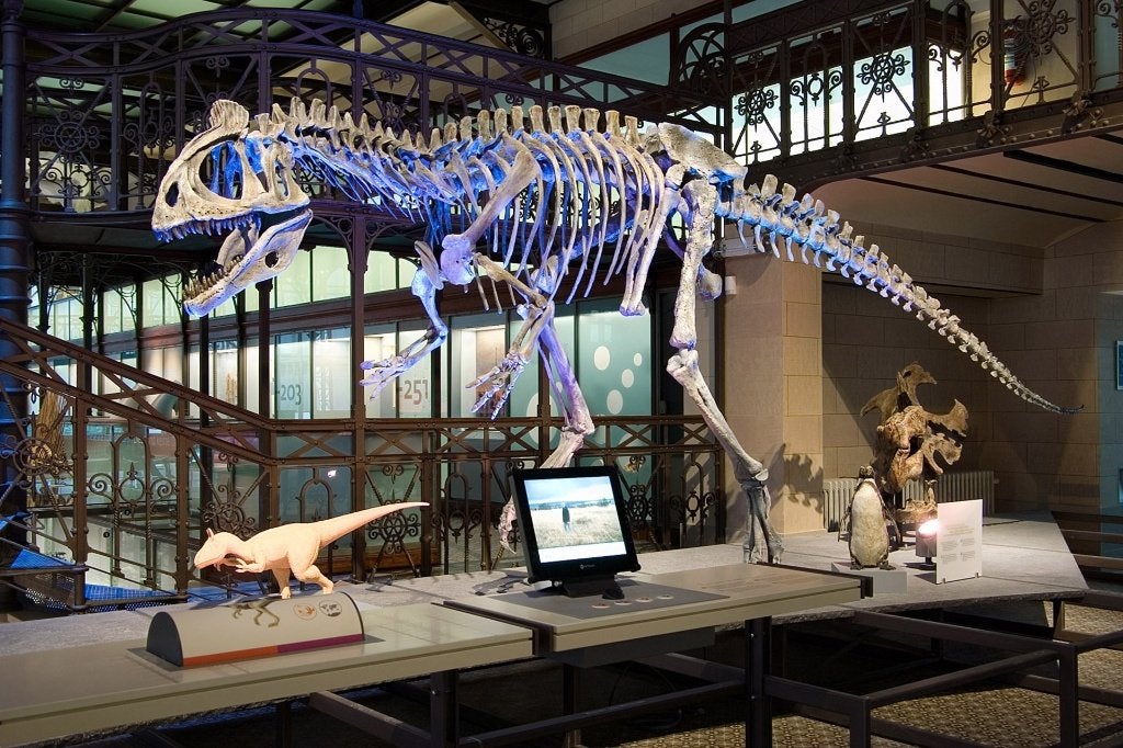 2 E-ticket musée sciences naturelles + expo flight -10 EUR, Tickets & Billets