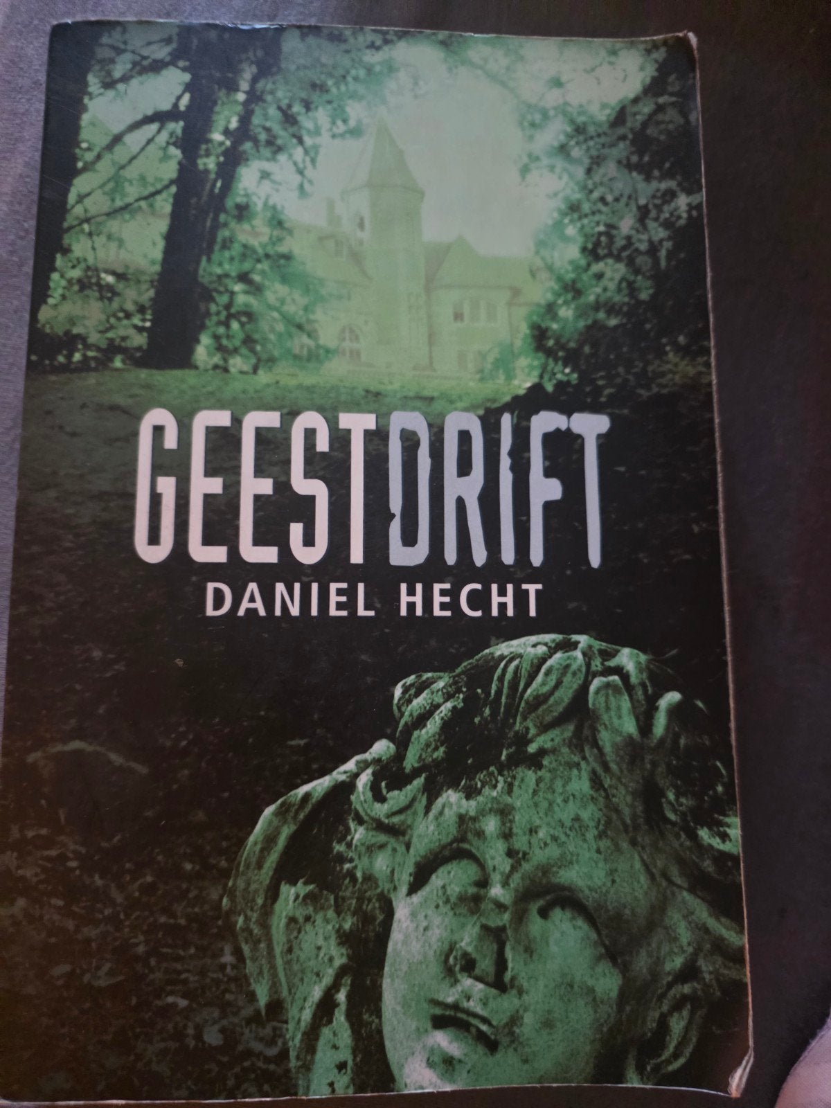 ▪️▪️▪️Daniel Hecht - Geestdrift▪️▪️▪️, Ophalen of Verzenden, Zo goed als nieuw, Nederland, Daniel Hecht