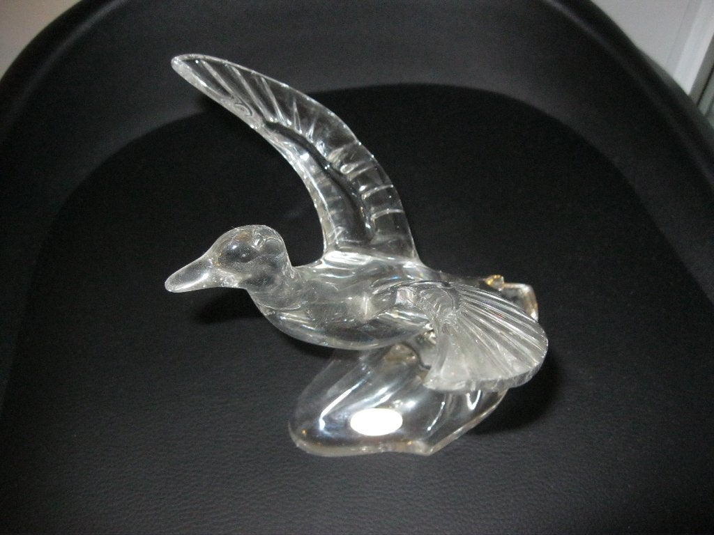 vogel in kristal val saint lambert, Ophalen