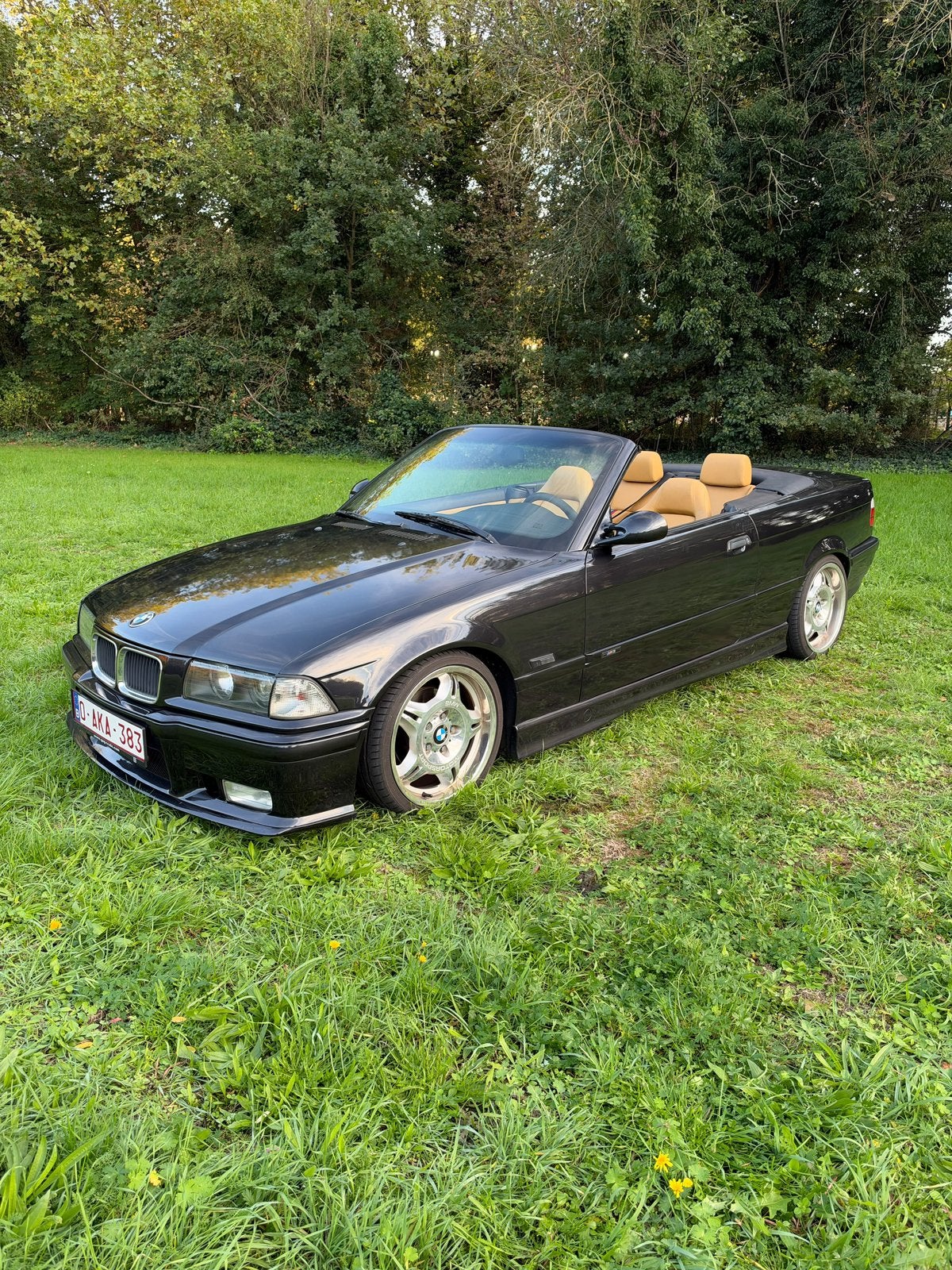 Bmw 328 e36 cabriolet Oldtimer, Achat, Boîte manuelle, Particulier, 147 kW