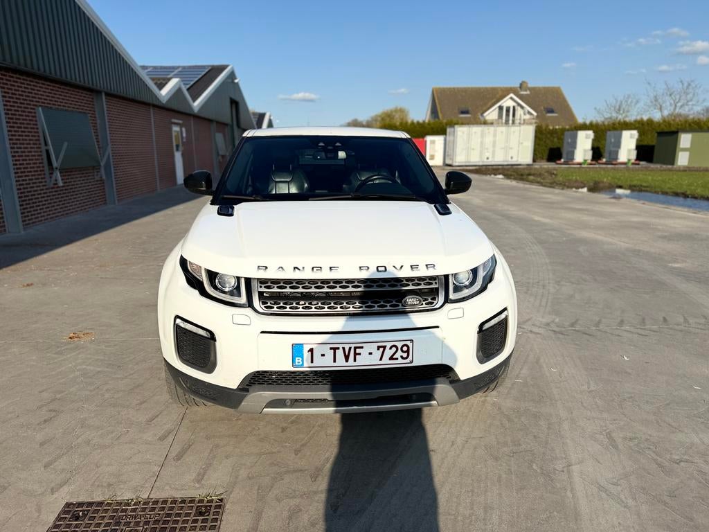 Range rover evoque, Auto's, Automaat, 2000 kg, Wit, Leder