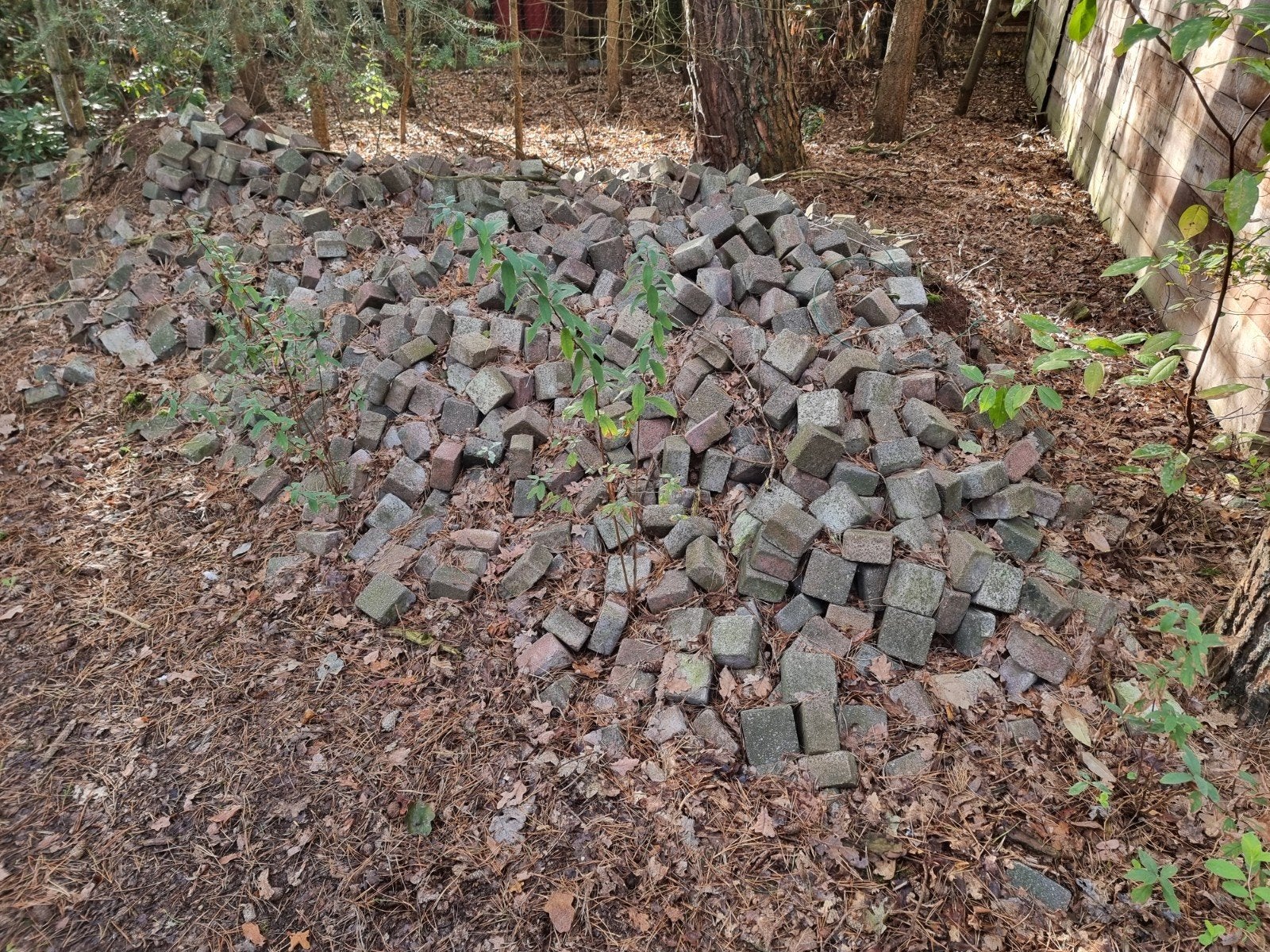 GRATIS klinkers, Tuin en Terras, Ophalen