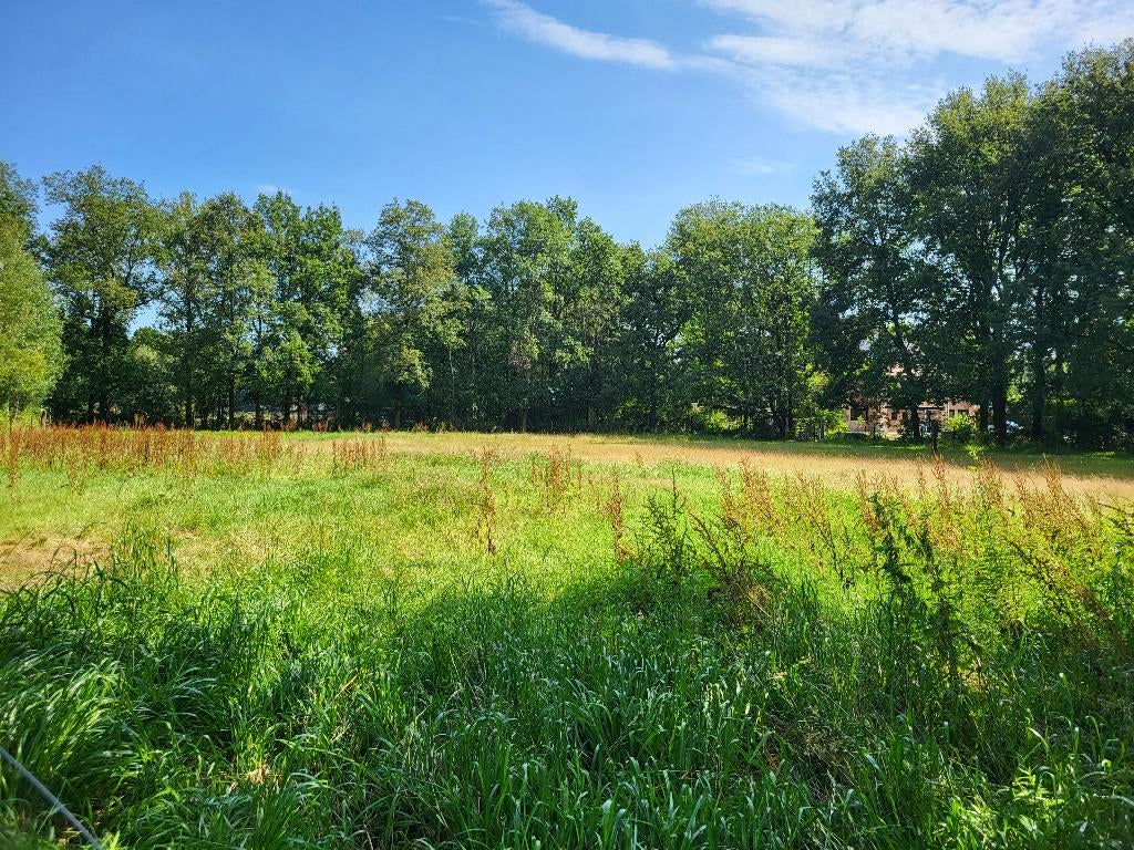 paardenweide te huur te Zoersel, vlak tegen Zoerselbos, Weidegang, 1 paard of pony