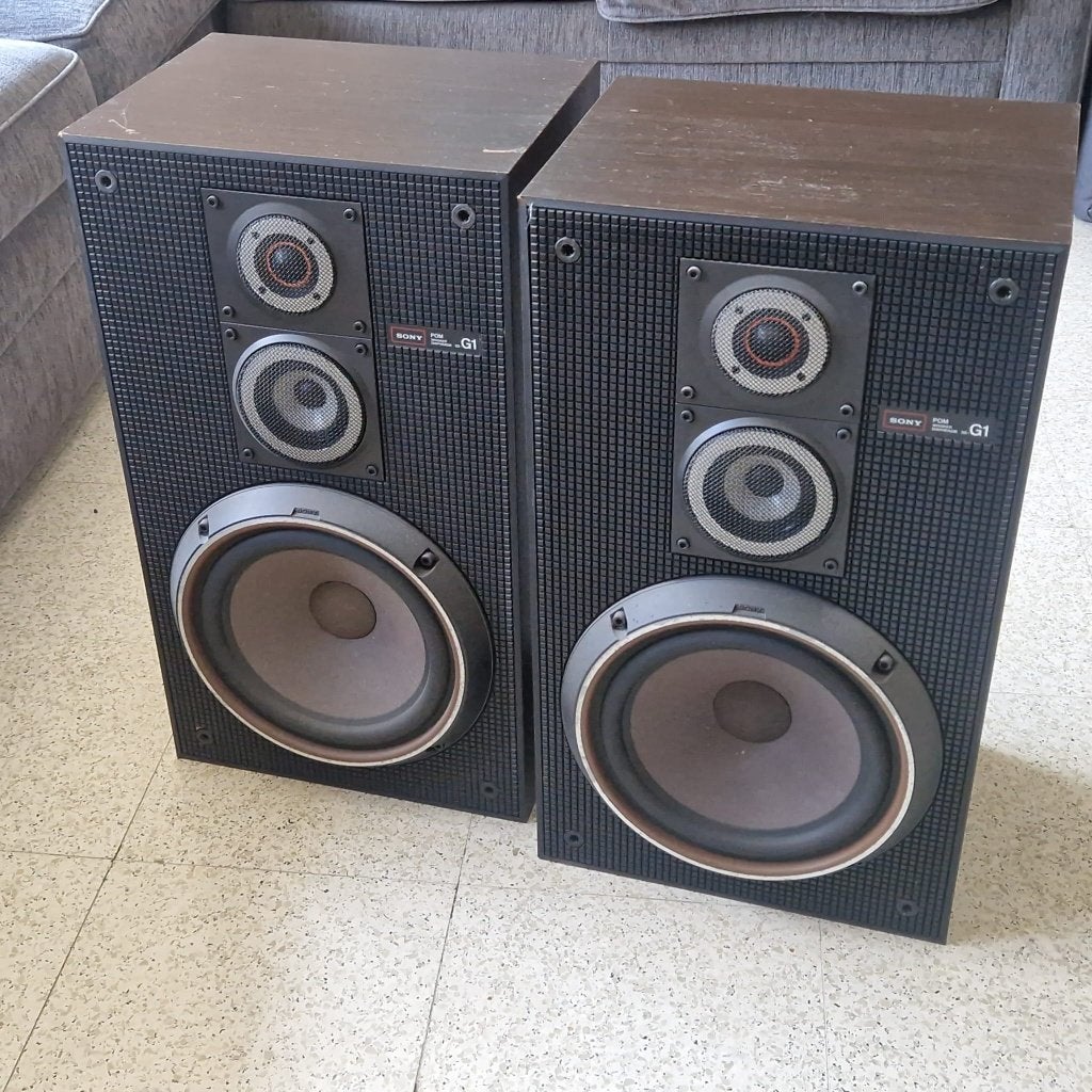 Set zware Sony speakers G1 MKIII, Audio, Tv en Foto, Luidsprekerboxen, Ophalen, Gebruikt, Speakerset, 60 tot 120 watt