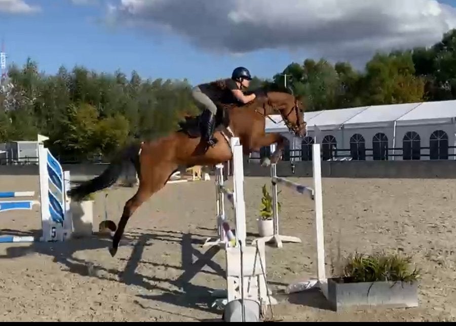 Trainingsstal/ amazone aangeboden, Dieren en Toebehoren