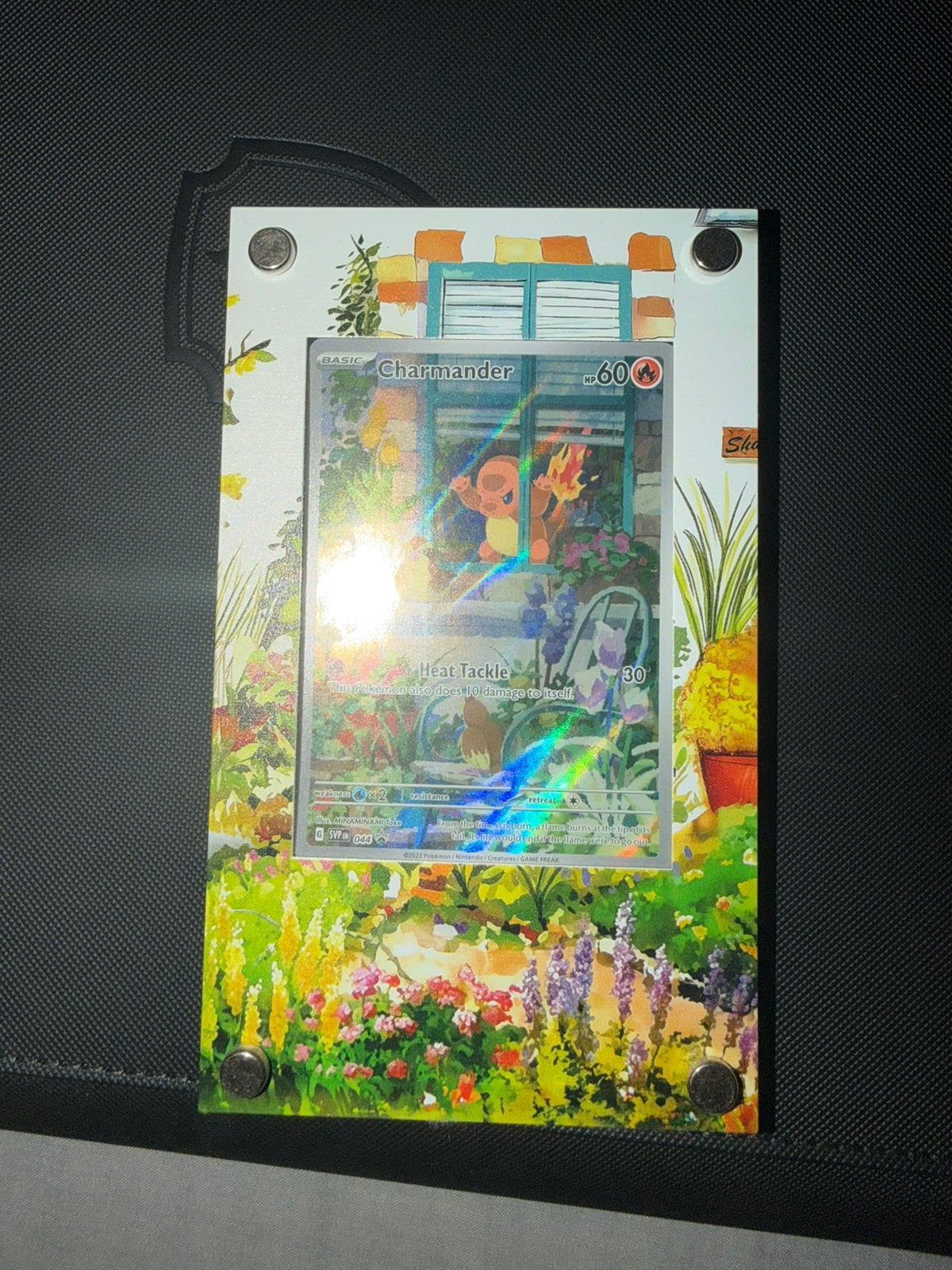 Charmander IR (Obsidian Flames Promo) + Extended Art Display, Ophalen of Verzenden, Zo goed als nieuw, Losse kaart, Foil