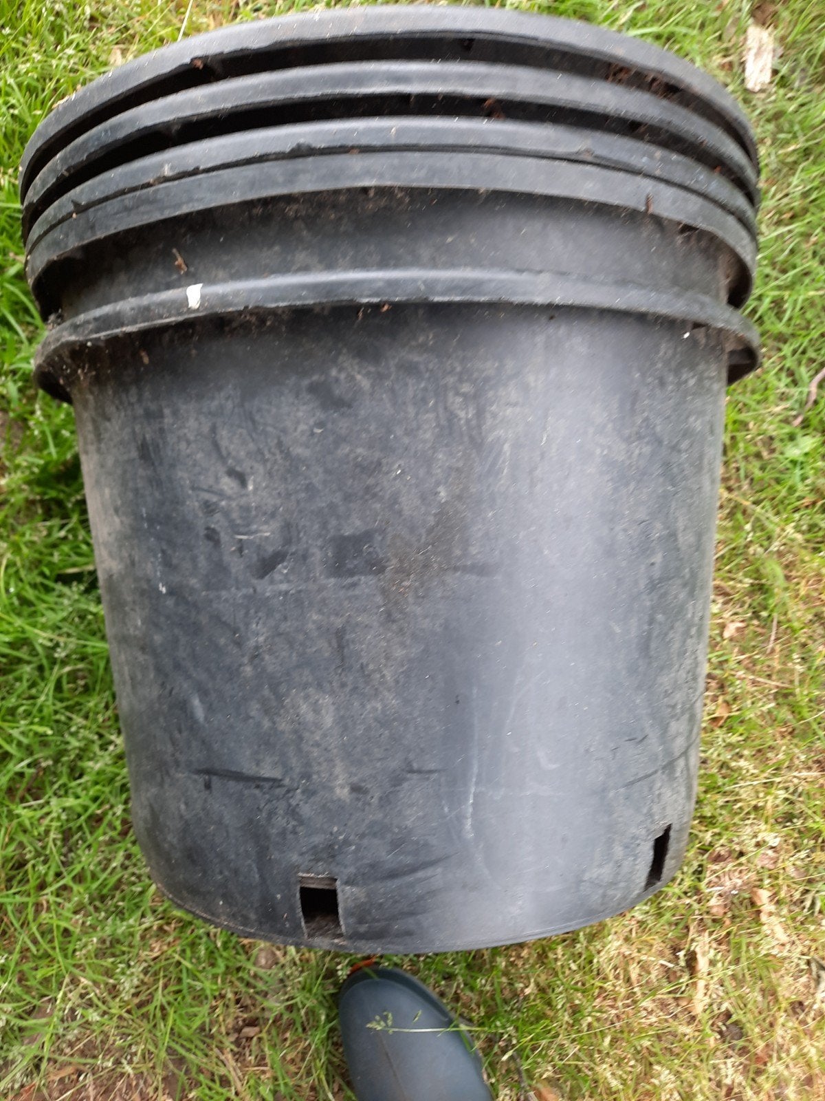 Zwarte  potten, Ophalen