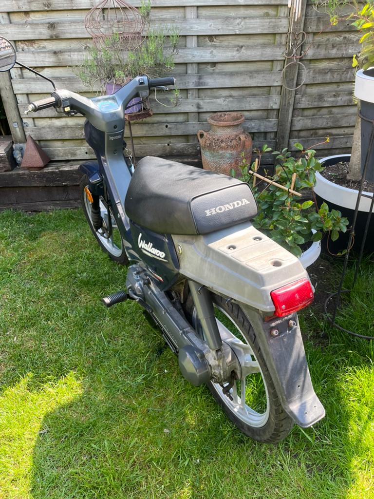 Honda. Wallaroe, Fietsen en Brommers, Brommers | Oldtimers, Ophalen