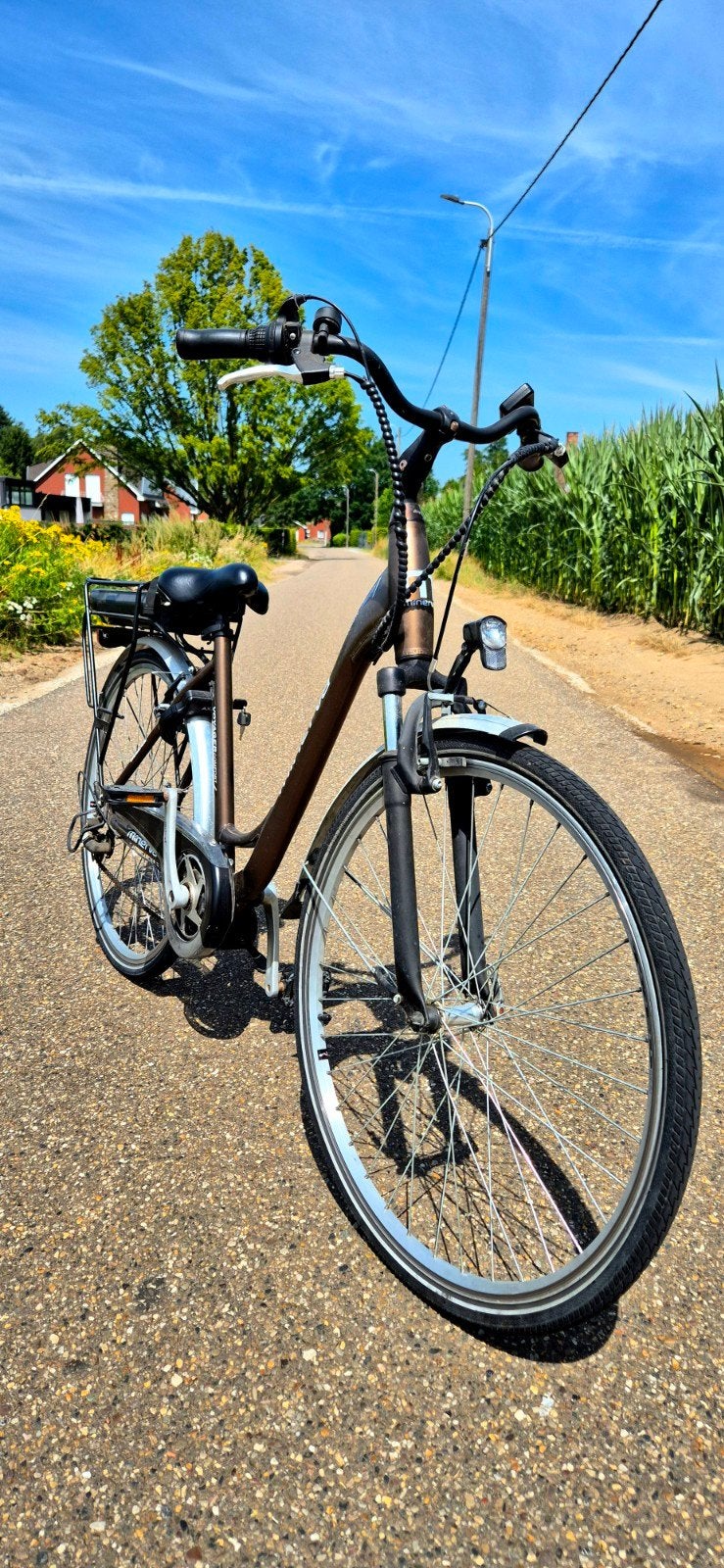 Vélo électrique Minerva Voyager Comfort pour femme, Enlèvement