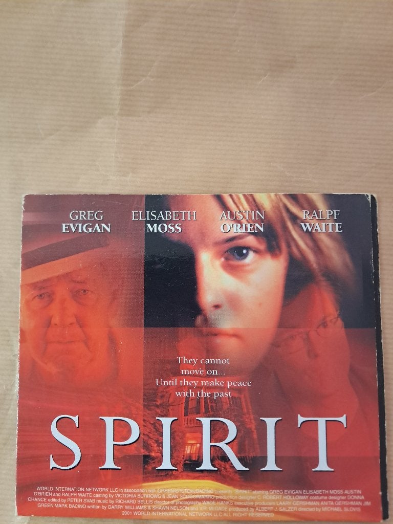 DVD Film SPIRIT : Film DVD Zone 2 en français., CD & DVD, Français, Utilisé, Français, À partir de 16 ans