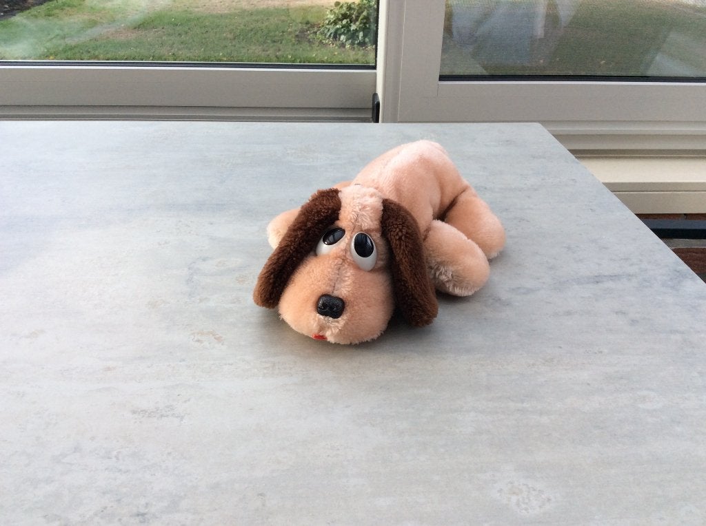 knuffel hond, Ophalen, Hond, Zo goed als nieuw, Middelgroot (20 tot 80 cm)