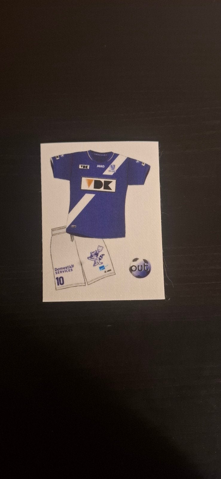Panini voetbal 2013, Ophalen of Verzenden