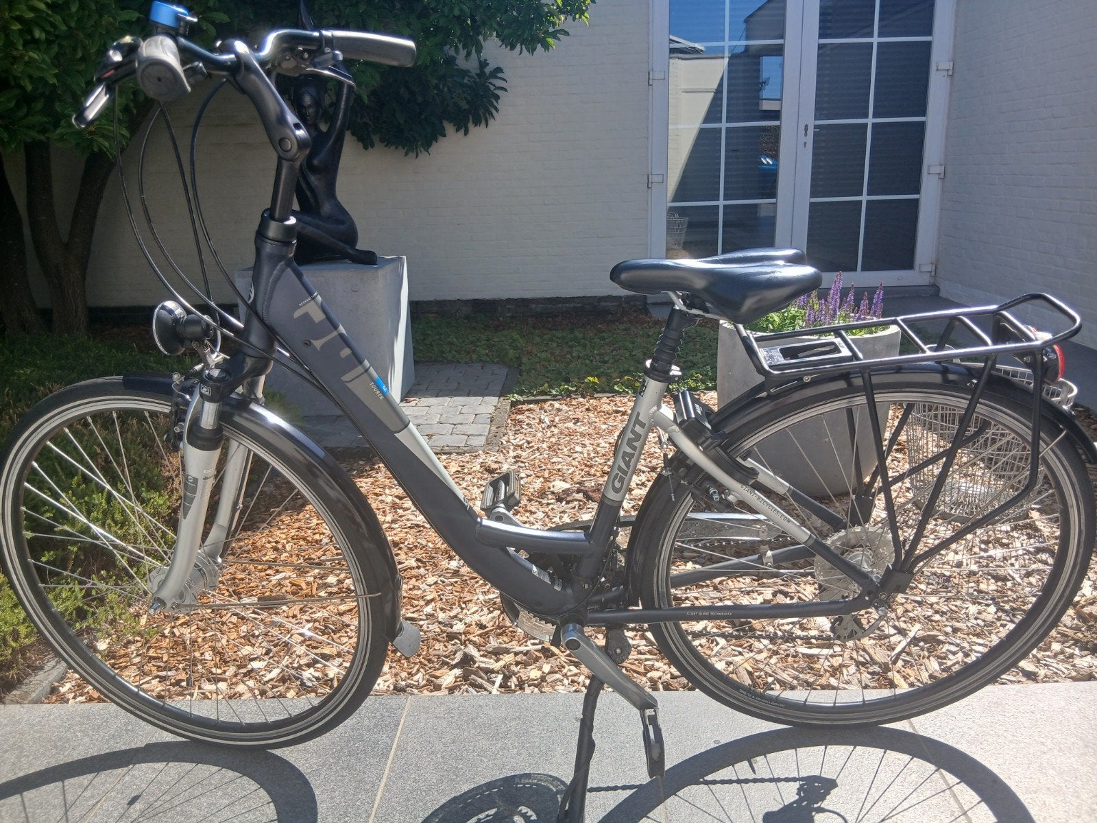 damesfiets, Giant, Fietsen en Brommers, Ophalen, Giant, Versnellingen