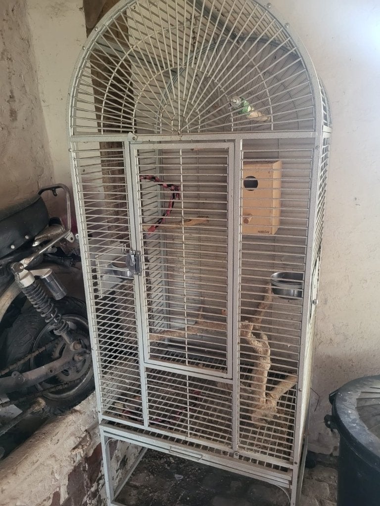 Vogelkooi papegaai, Enlèvement, Utilisé, Métal, Cage à oiseaux