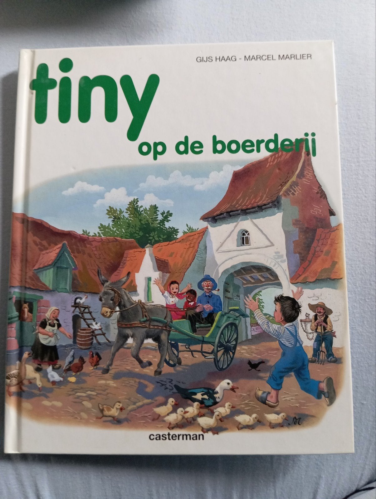 Haag - Tiny op de boerdery, Ophalen of Verzenden, Haag