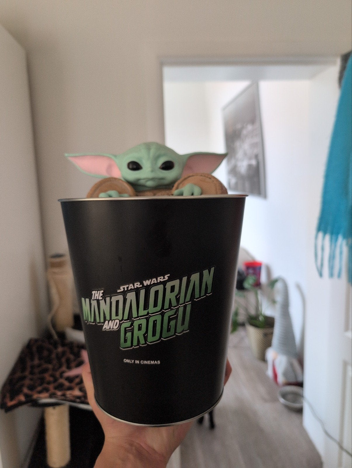 star wars popcorn bucket, Tuin en Terras, Ophalen