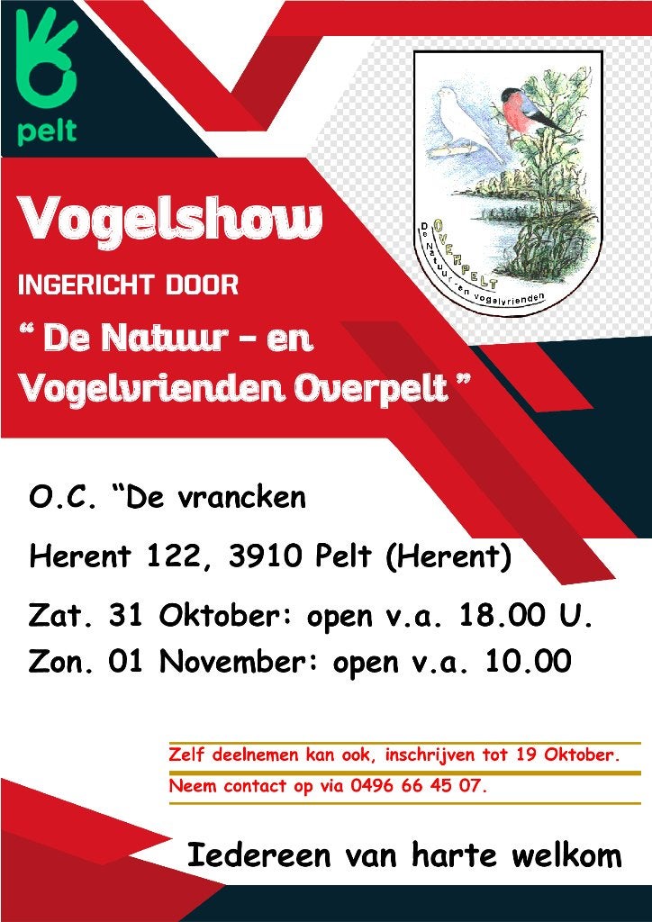 Gewest 1 TT noord-Limburg grote vogelshow, Meerdere dieren, Geringd