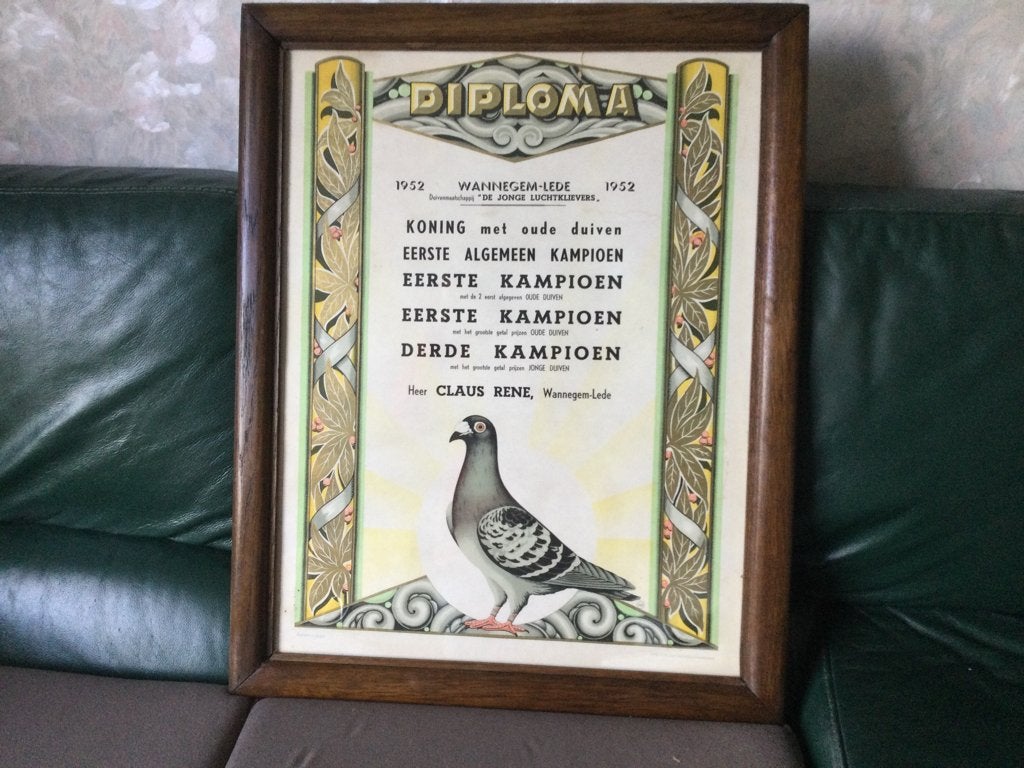 Duivendiploma 1952 de jonge luchtklievers, Ophalen, Gebruikt