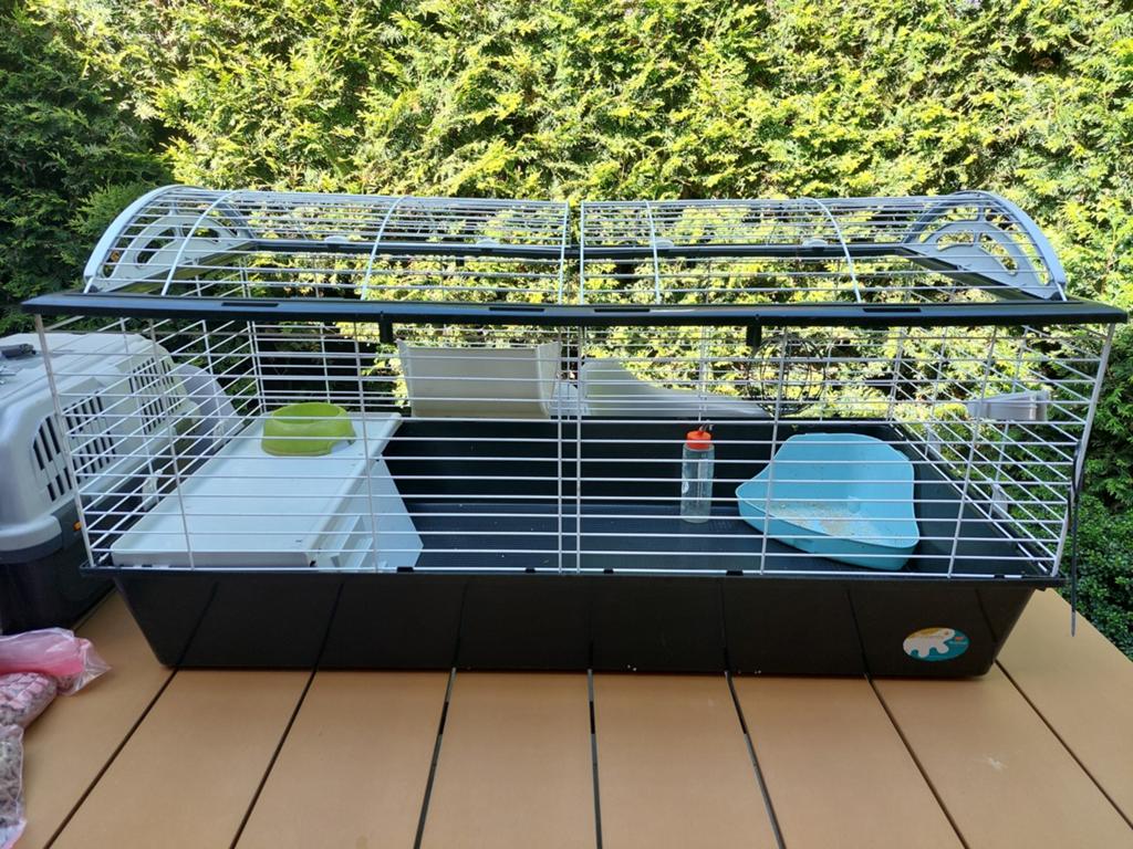 CLAPIER À LAPINS, 2 PANIERS DE TRANSPORT, NOURRITURE, SOINS, Enlèvement, Soins